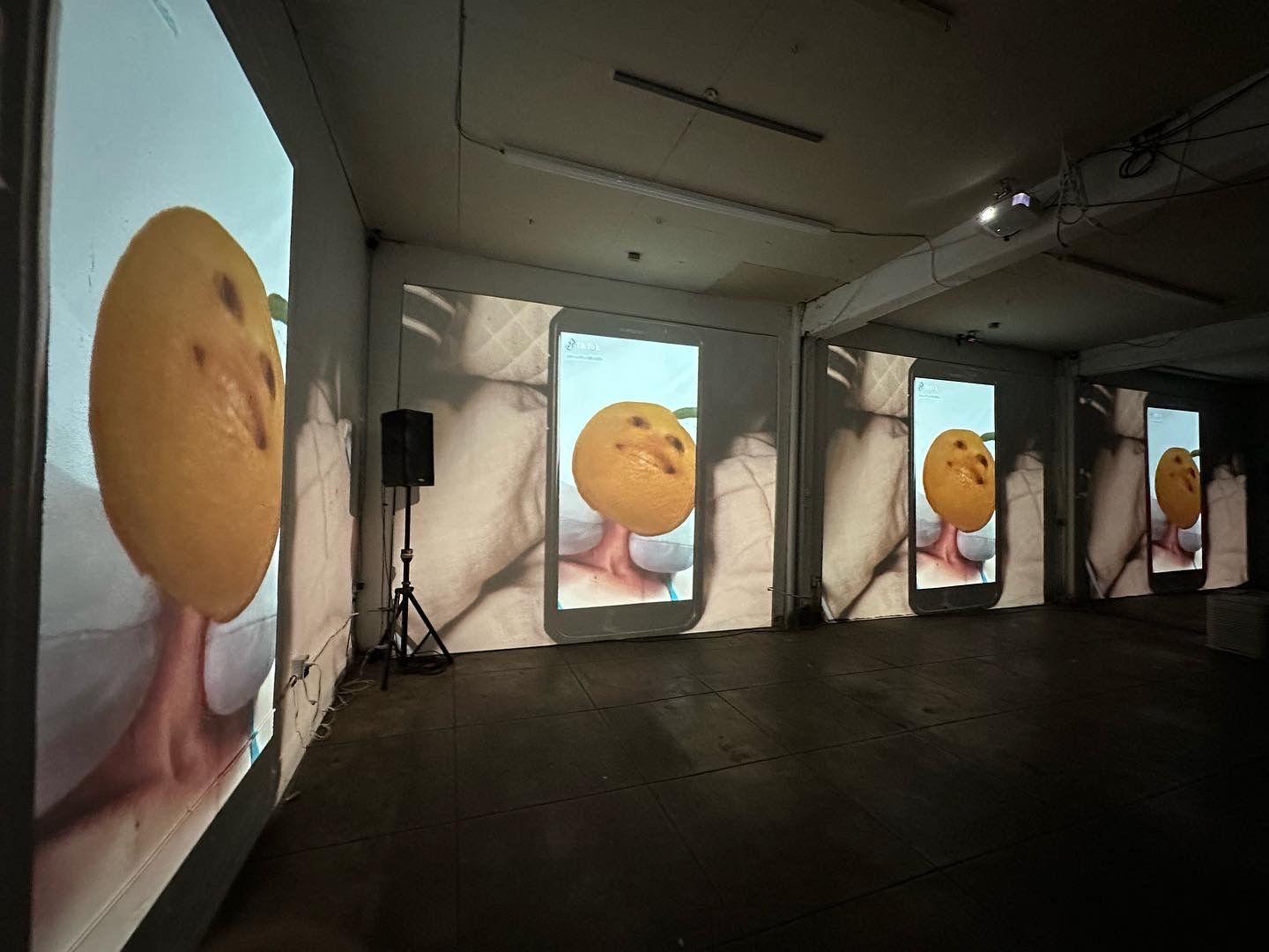 a lemon with a face on an iphone repeated across four immersive projections